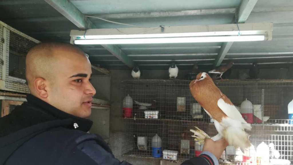 مهنة واعدة تجذب الفلسطينيين .. تعرف عليها