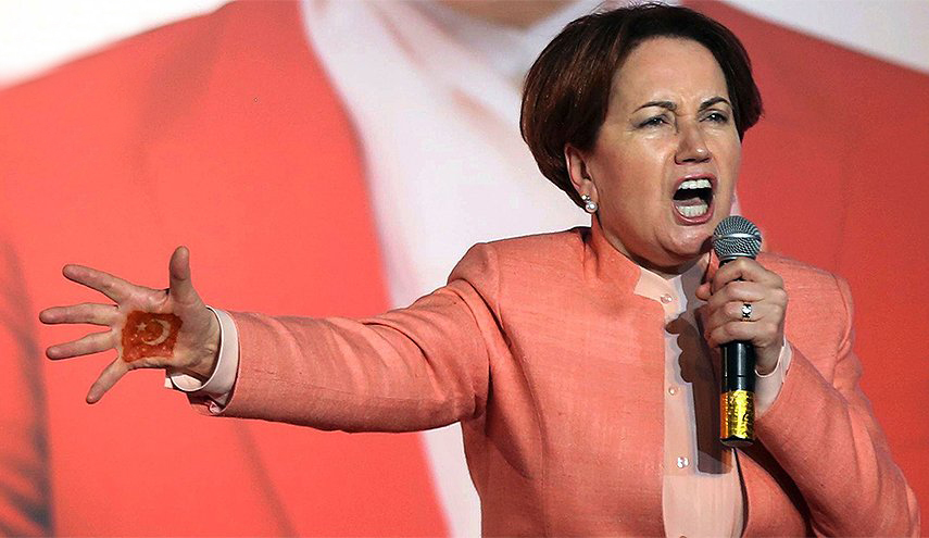 "المرأة الحديدية" تدعو أردوغان للتفاوض علنا مع الأسد