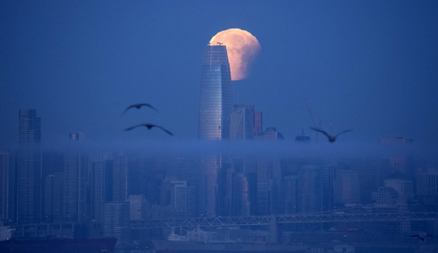 بالصور... هكذا ظهر 