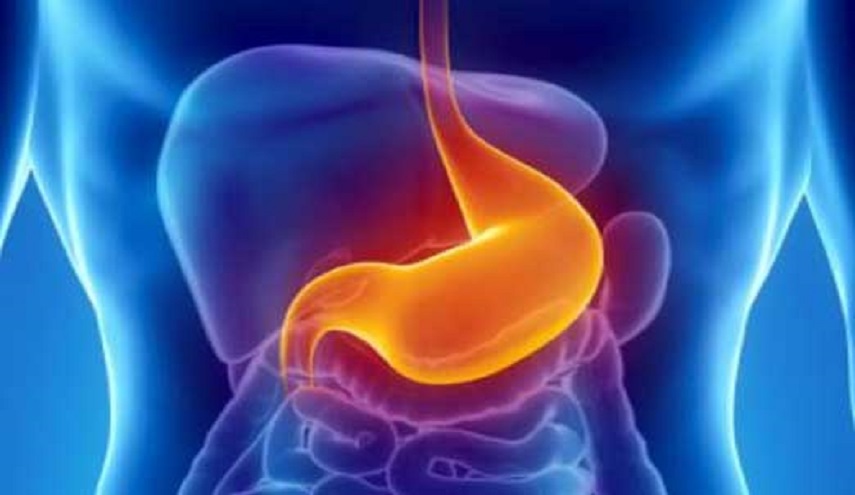  10 أطعمة تخلصك من حموضة المعدة...اكتشفها!