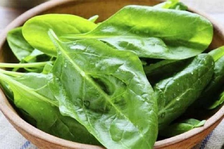 توصيه امام رضا(ع): برگ چغندر بهترين درمان است