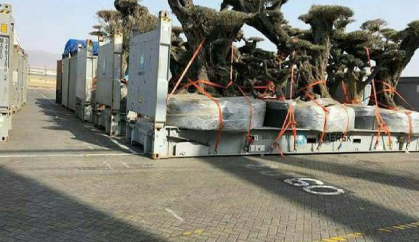 لـ مراهقي الإمارات: السرقة لا تصنع تأريخاً..!!