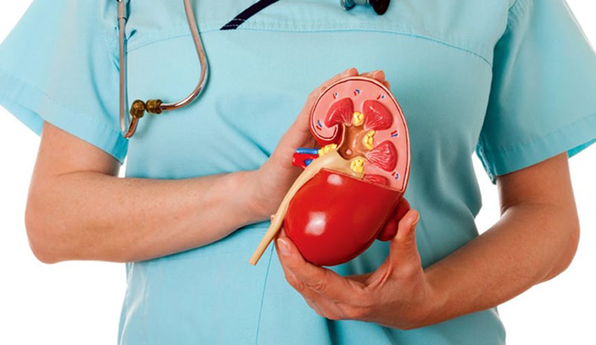 إنجاز طبي كبير.. الإندبندنت: نجاح عملية تخليق كلى جديدة قد تنقذ ملايين البشر