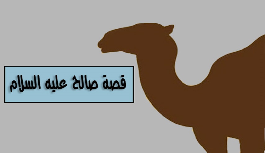 قصّة ناقة صالح 