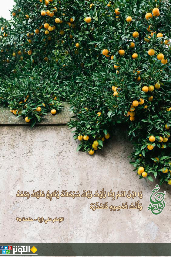 احذر دوام النعم مع المعاصي...