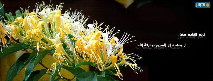 لا يذهب الحزن إلا...