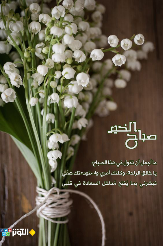 يا خالق الراحة... وكلتك أمري