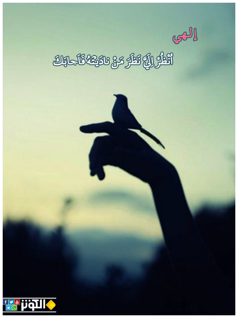 إجابة الدعاء