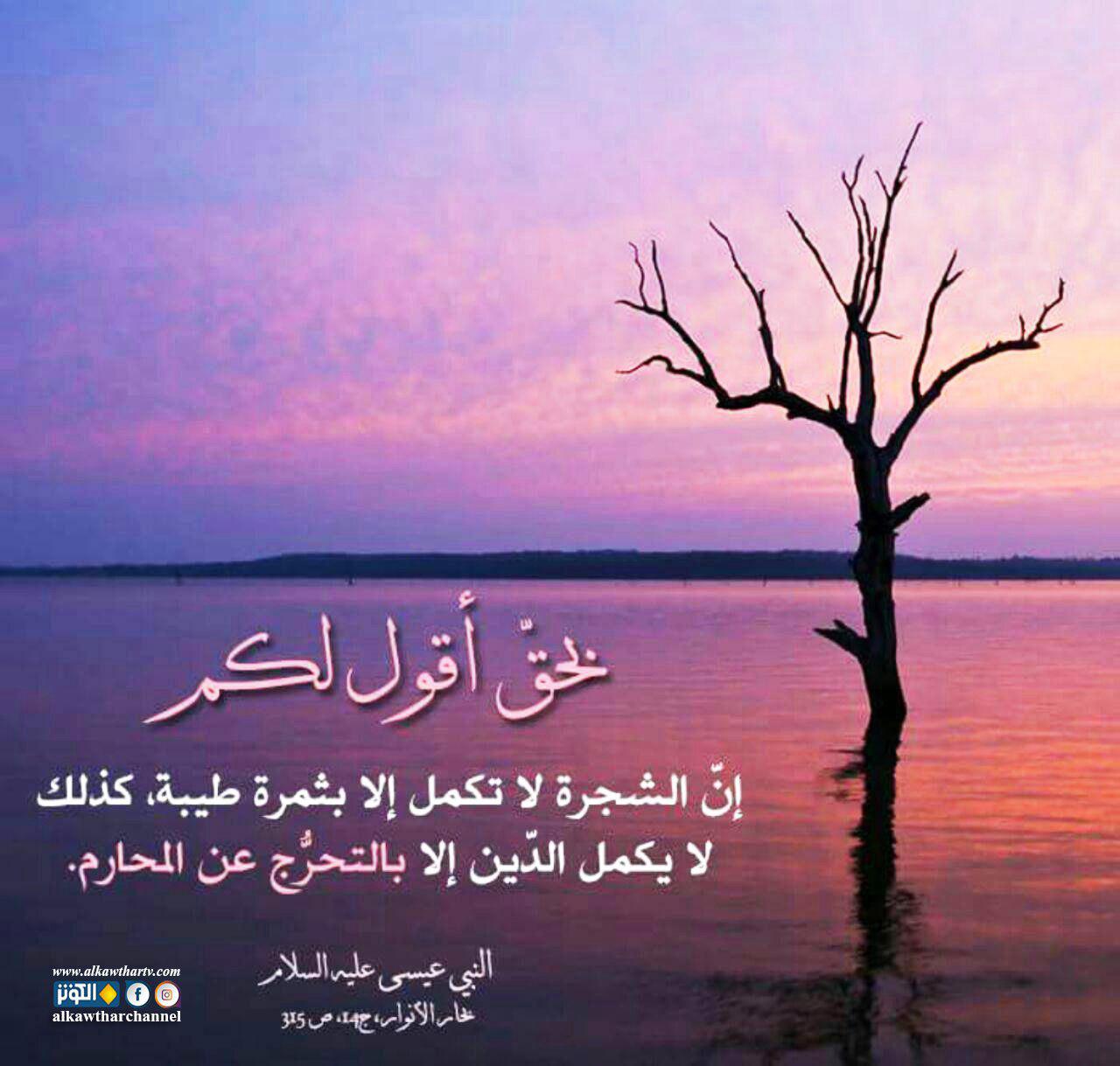 كمال الدين في التحرج من المحارم