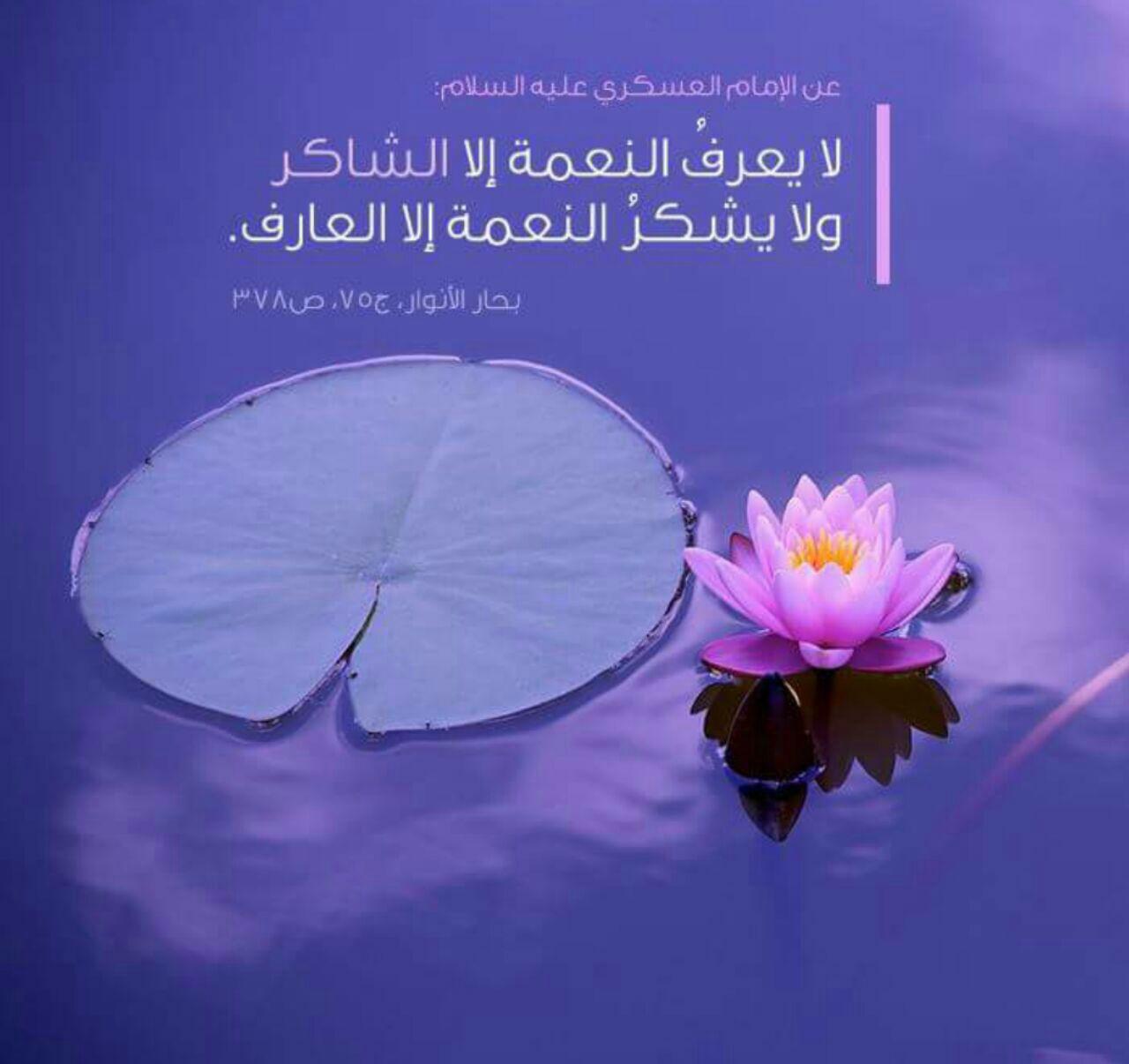 لا يعرف النعمة إلا الشاكر