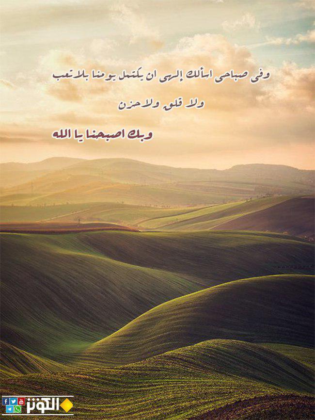 كمال اليوم...