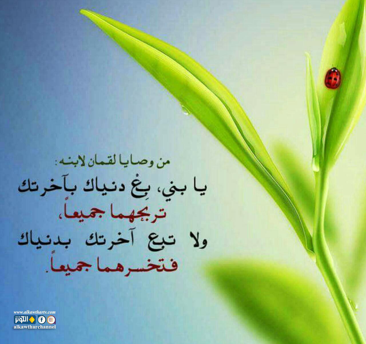 لا تبع آخرتك بدنياك