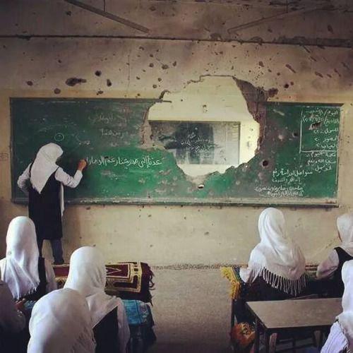  غزه : آموزش ادامه دارد