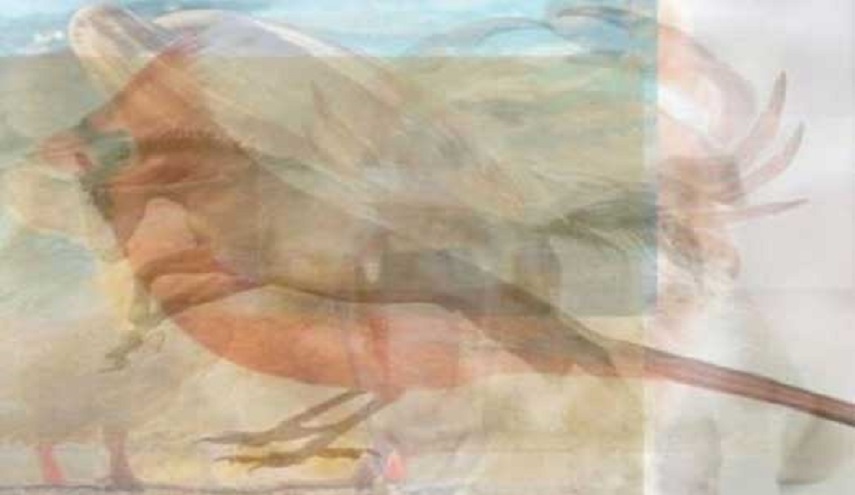  لن تصدق ماذا تكشف هذه الصورة عنك!