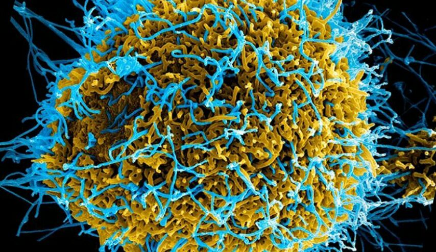 مرض غامض في هذه الدولة العربية قد يفتك بملايين في العالم