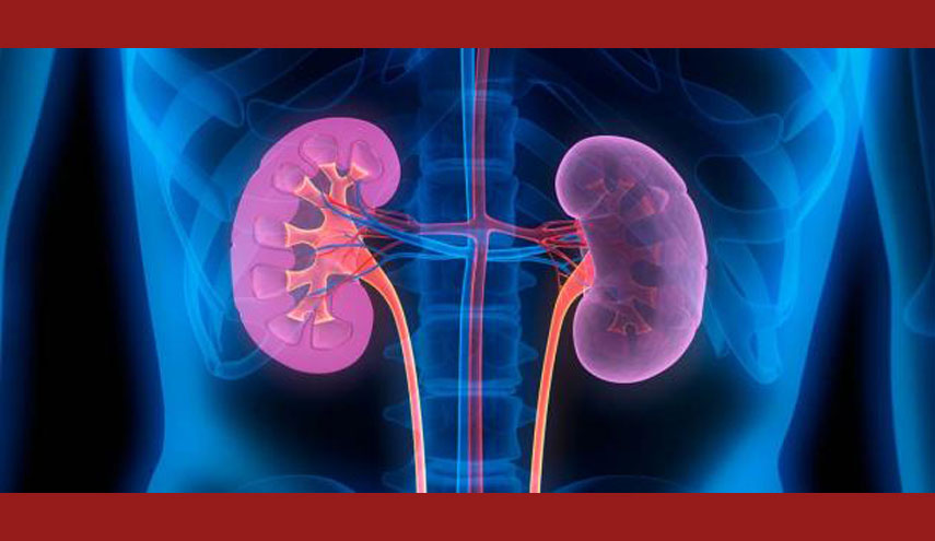 تحذير.. هذه العادات تدمر الكليتين!!