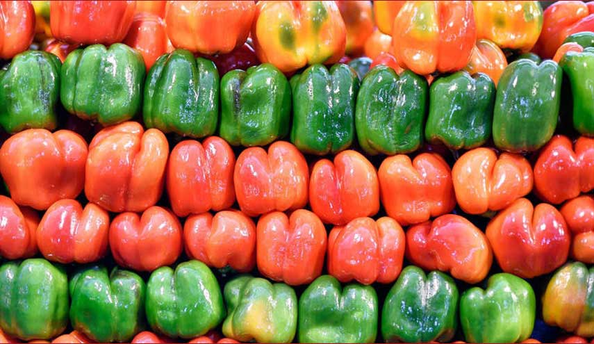 هل وجبات الطعام النباتية السريعة صحية للجسم؟