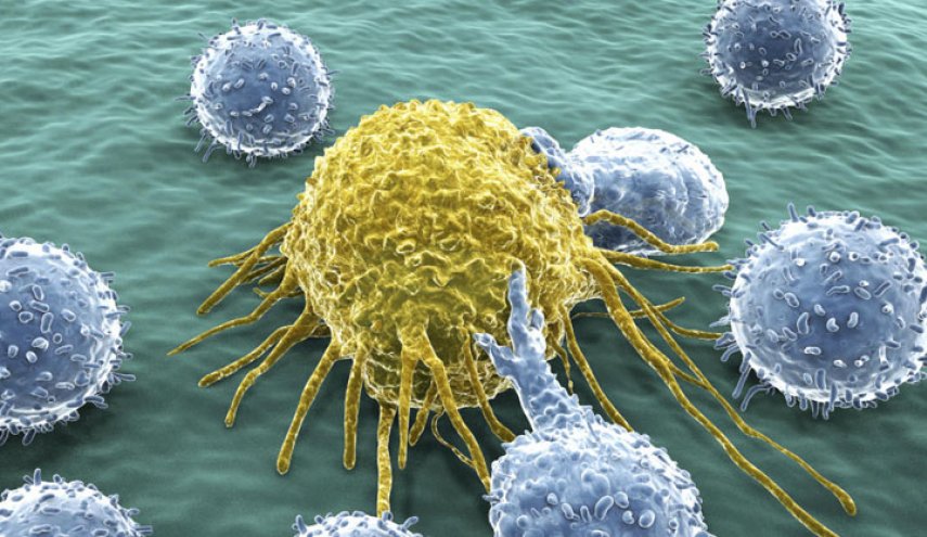  مادة في الطعام تغذي السرطان.. أزلها من طعامك 