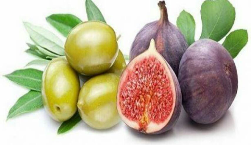ماذا يحدث لجسمك عند تناول “التين والزيتون” معاً.. ولماذا ذُكرا في القرآن الكريم؟