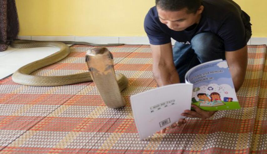 نهاية مأساوية لأشهر صائد ثعابين