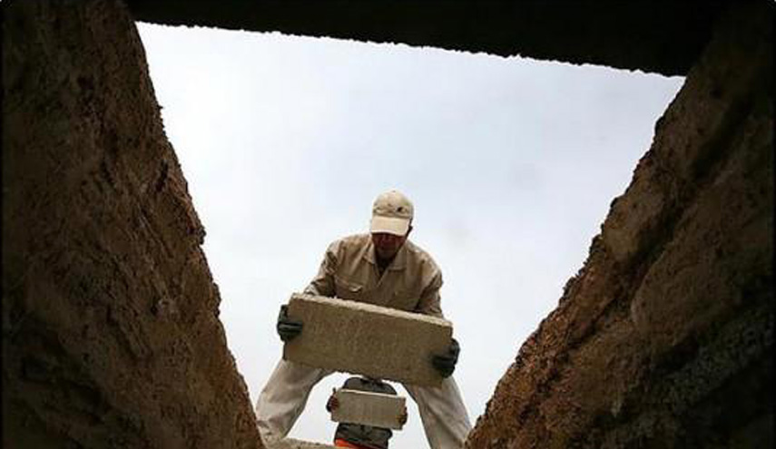 عالم أمريكي: الحياة والموت وهم!