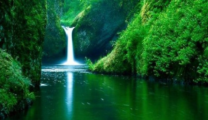 نسمات...من عطرالحياة في الجنة