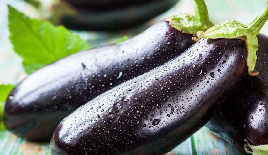 ﻿تبرئة إيطالي من محاولة سرقة باذنجانة بعد 9 سنوات!