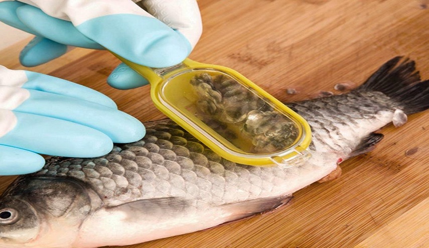 فوائد مذهلة ل"حراشف الأسماك" ..تعرف عليها؟!