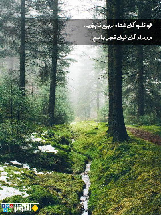 وراء كل ليل فجر باسم..