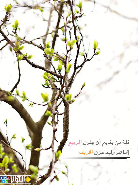 الربيع وليد حزن الخريف