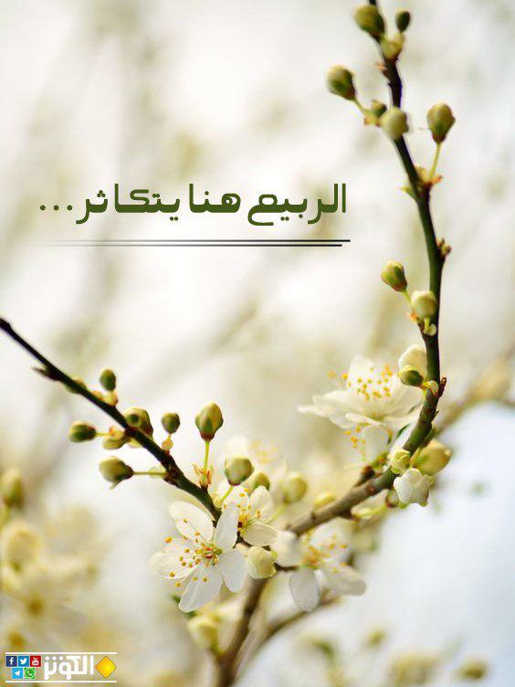 تفتح أزهار الأمل