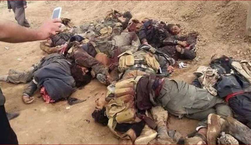 مقتل عشرات الدواعش بالقرب من الحدود العراقية السورية