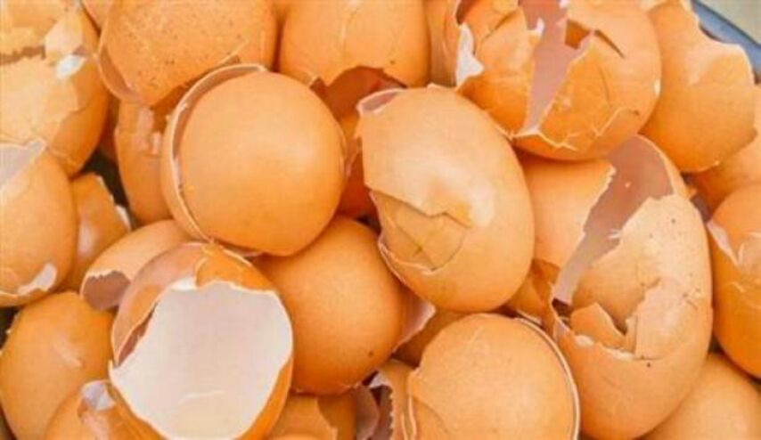 لن ترموا قشور البيض بعد اليوم!