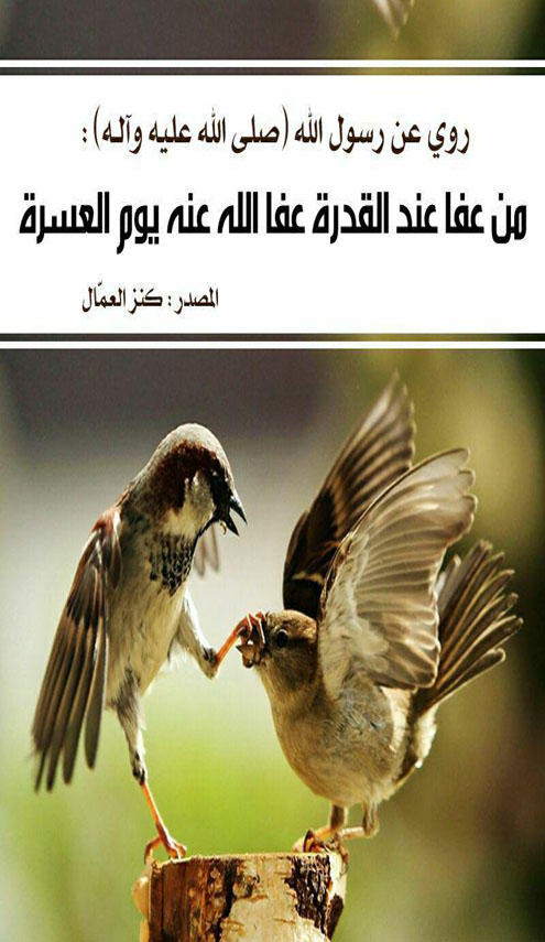 الحَثُّ عَلَى العَفوِ عِندَ القُدرَةِ