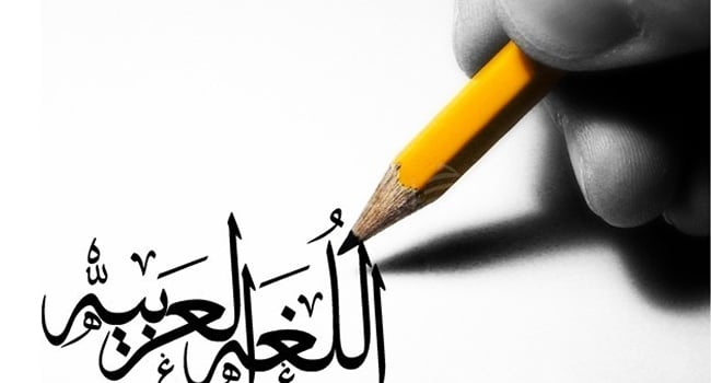 آموزش تصويري افعال رايج در زبان عربي
