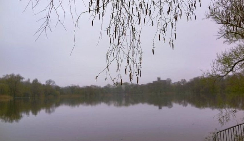 محام أمريكي بارز يضرم النار في نفسه بحديقة..  لهذا السبب؟!!