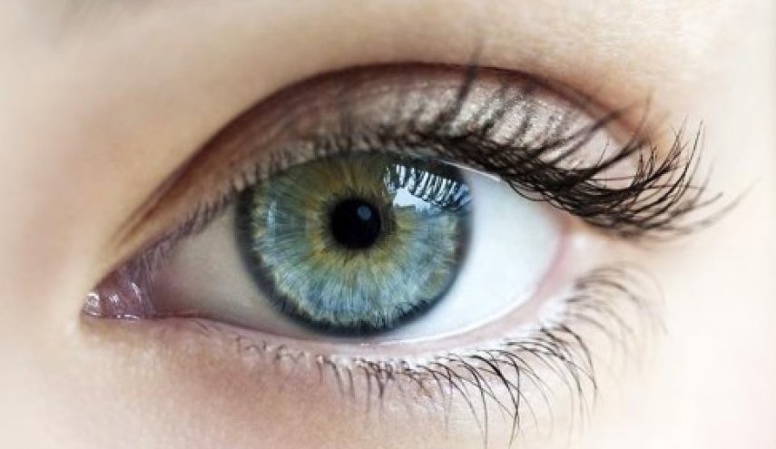 لماذا تكون حاسة البصر لدينا أقوى عند الفجر والغسق؟