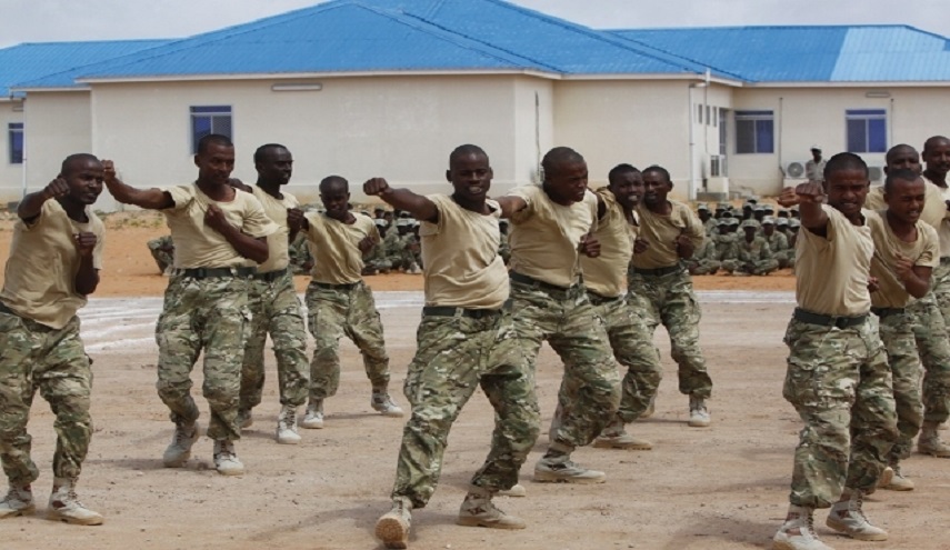 الإمارات تنهي مهامها العسكرية في الصومال..والسبب..