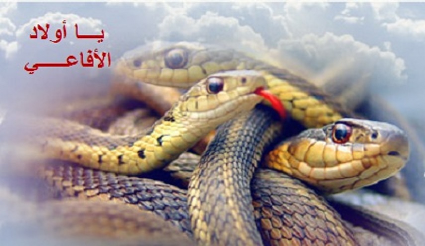 يا أولاد الأفاعــي !