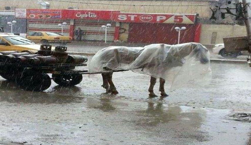 بالجدول.. كمية الامطار التي سقطت في العراق خلال الـ24 ساعة الماضية