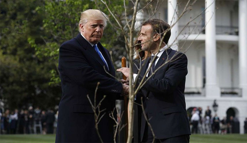 شجرة ترامب وماكرون تختفي من حديقة البيت الأبيض!