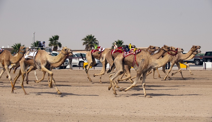 قطر قد تتخذ قرارا ضد السعودية.. ما هو؟