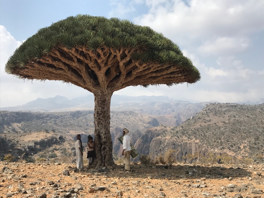 ساحل سفيد كجاست؟