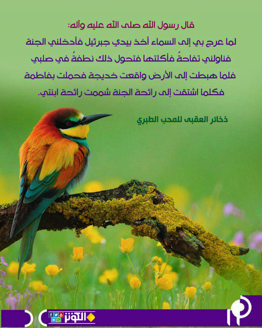 فاطمة رائحة الجنة