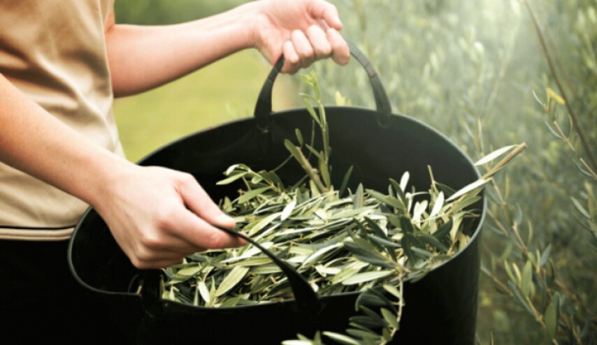 قولوا وداعاً لنزيف الدماغ والسكري والضغط المرتفع ومرض الزهايمر