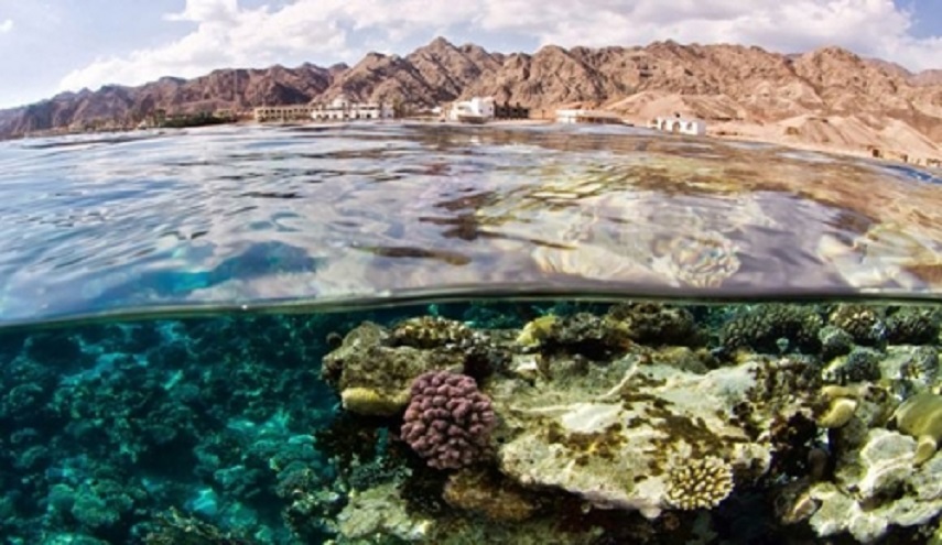  دراسة: ثلث المحميات في العالم تدهورت لهذا السبب؟!