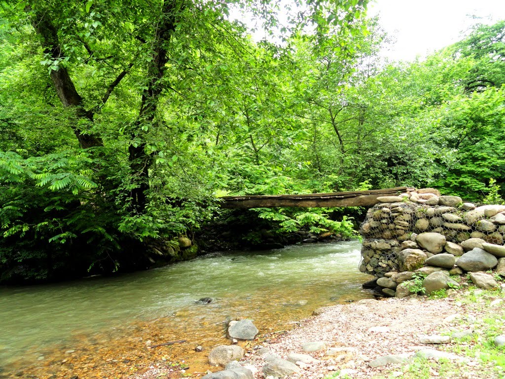 جسر أسالم الخشبي في أحضان الطبيعة البكر
