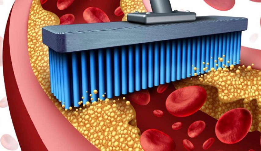  تعرفوا على الدهون التي تشفي القلب وتنظف الشرايين 