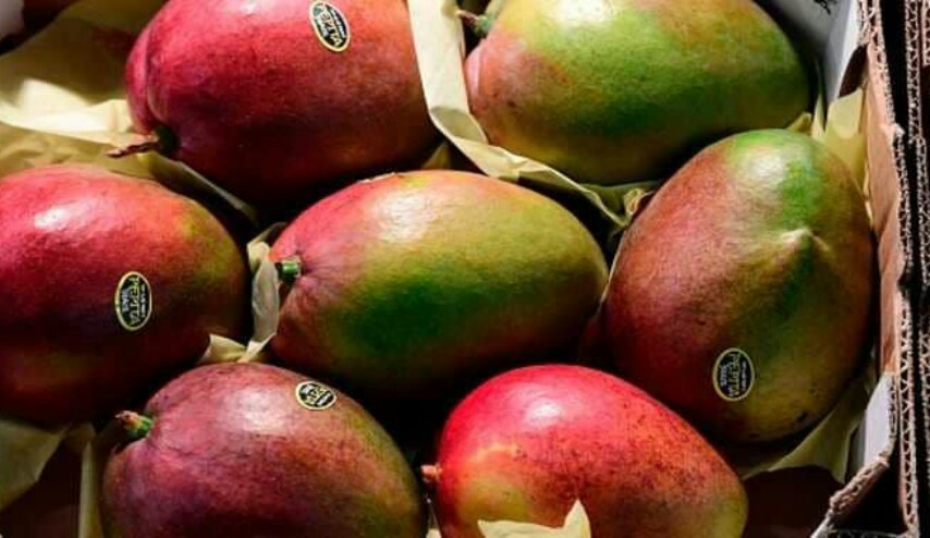 تعرف على علاج سحري لاضطرابات الجهاز الهضمي