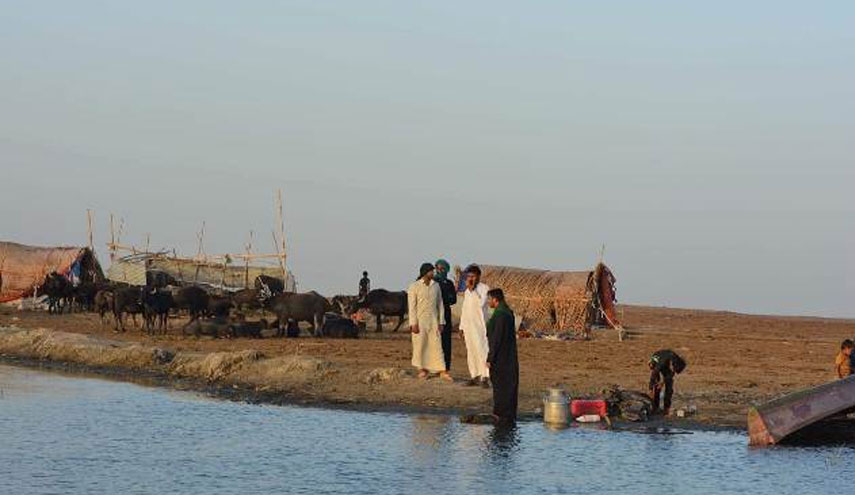 بالصور..انخفاض واضح بمنسوب المياه في اهوار العراق